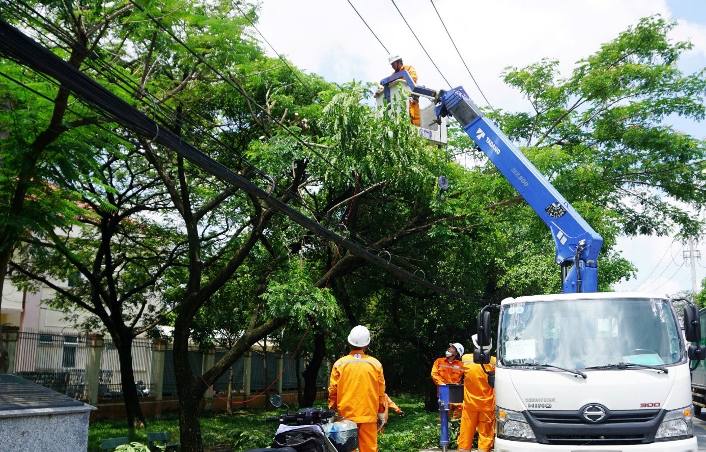 Công nhân ngành điện xử lý nhánh cây để đảm bảo an toàn điện mùa mưa, bão.